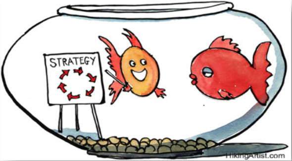 ... and a strategy adapted to your market